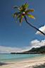 HoneyMoon 476.jpg